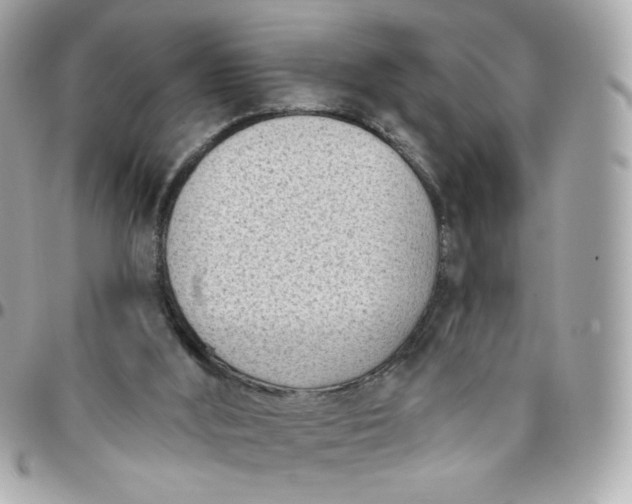 X0000096210012200802011331