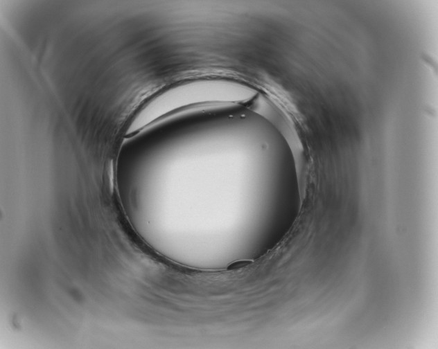 X0000096210013200802011331