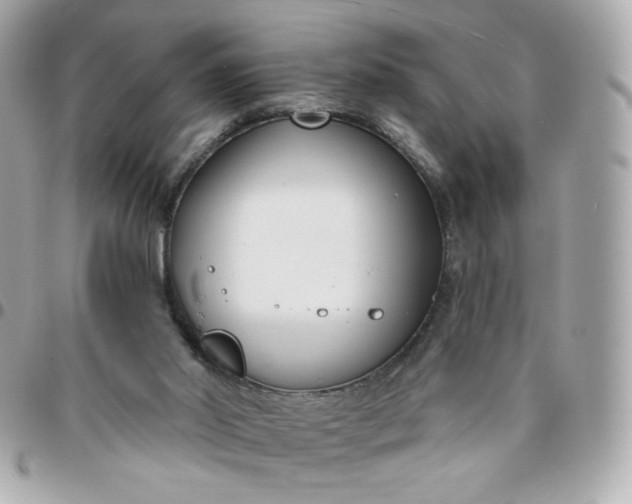 X0000096210014200802011331