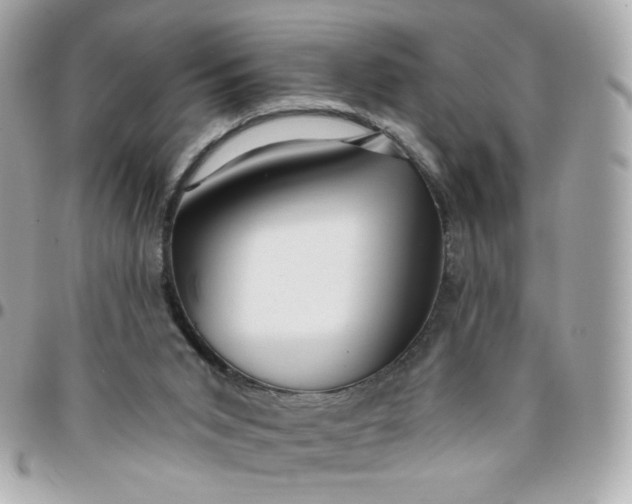 X0000096210015200802011331