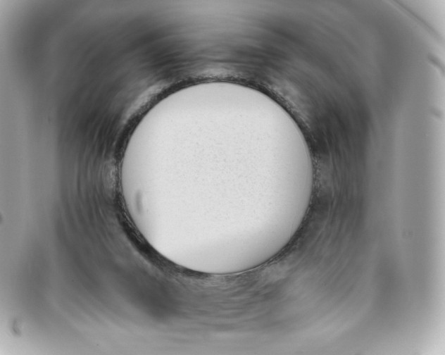 X0000096210016200802011331