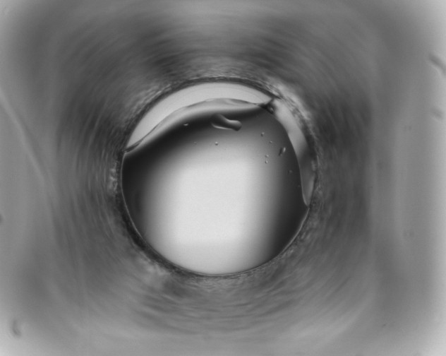 X0000096210017200802011331