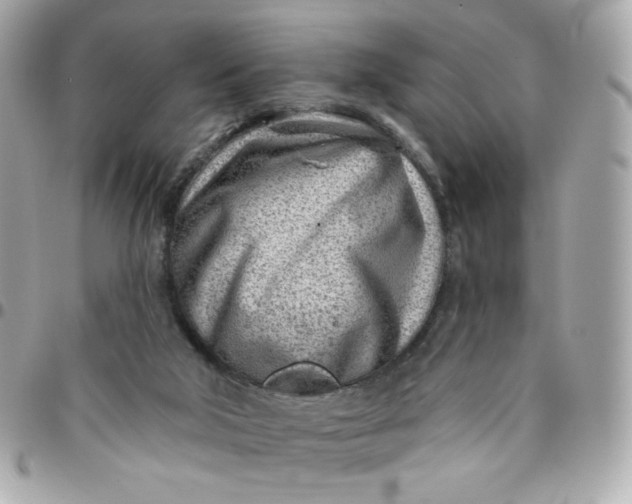 X0000096210018200802011331