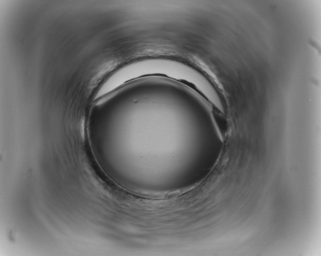 X0000096210019200802011331