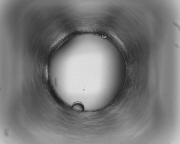 X0000096210020200802011331