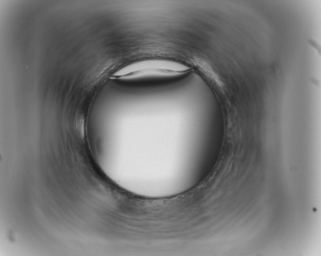 X0000096210021200802011331