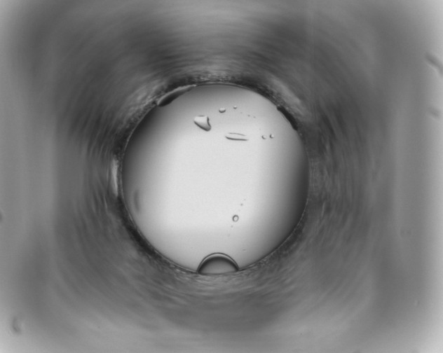 X0000096210022200802011331