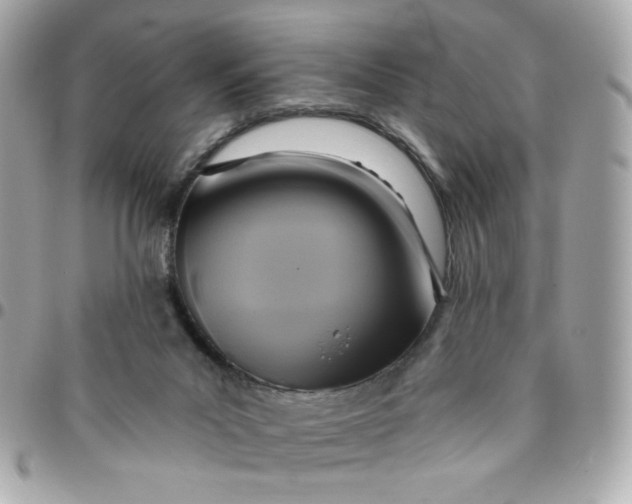 X0000096210023200802011331