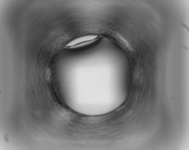 X0000096210025200802011331