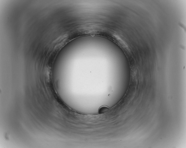 X0000096210026200802011331