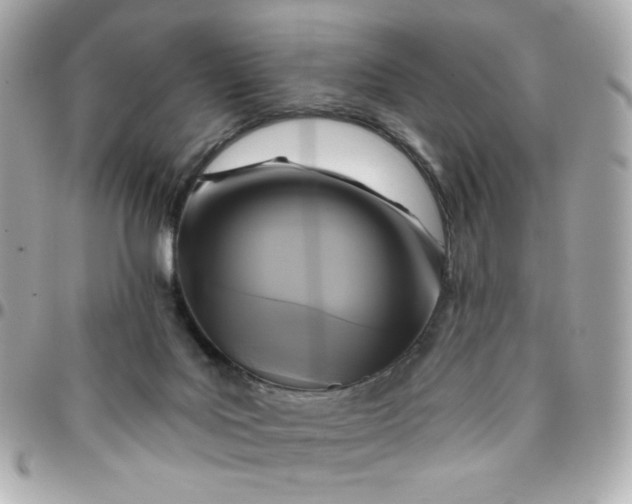 X0000096210027200802011331