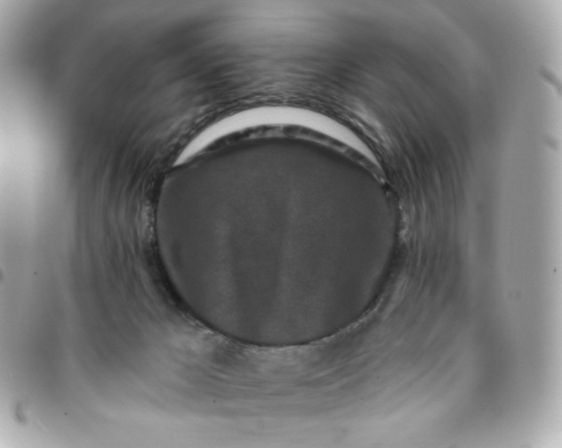 X0000096210029200802011331