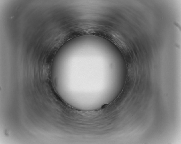 X0000096210030200802011331