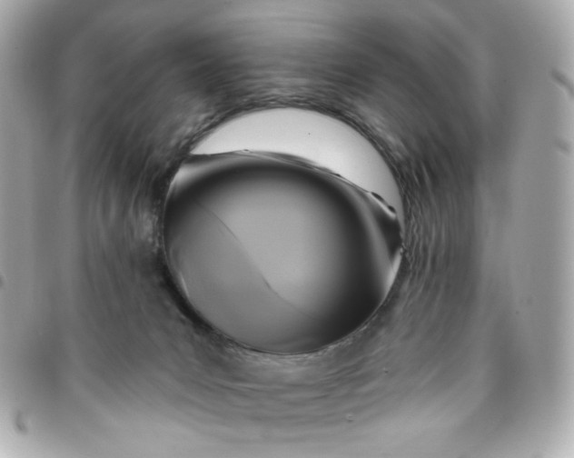 X0000096210031200802011331