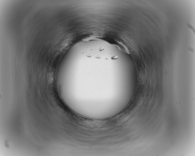 X0000096210032200802011331