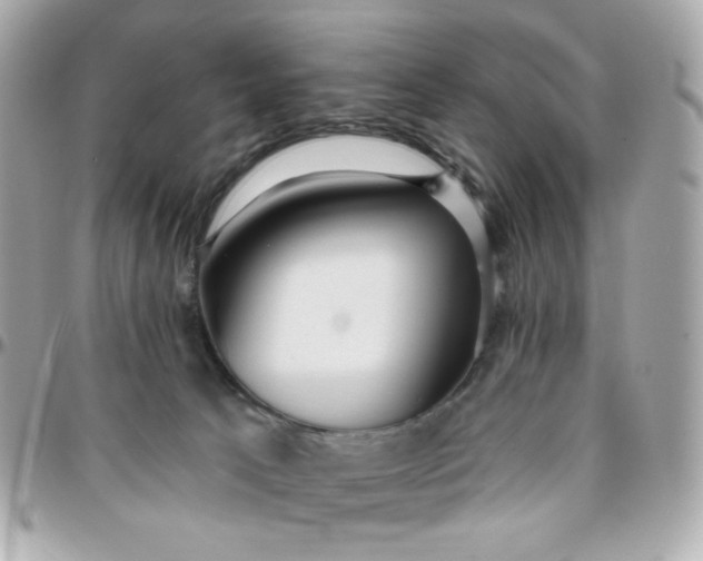 X0000096210033200802011331