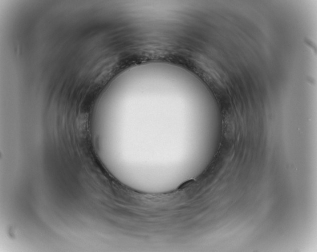 X0000096210034200802011331