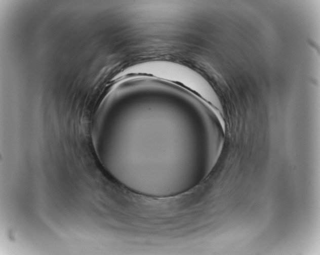 X0000096210035200802011331