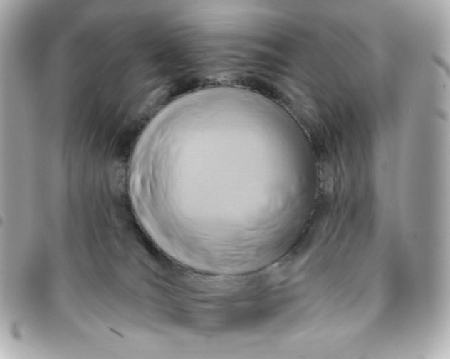 X0000096210036200802011330