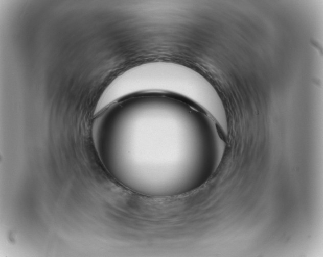 X0000096210037200802011330