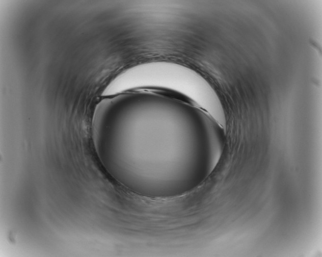 X0000096210039200802011330