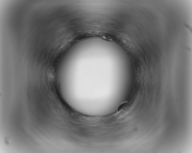 X0000096210040200802011330