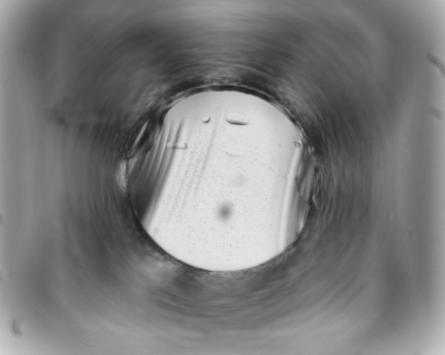 X0000096210041200802011330