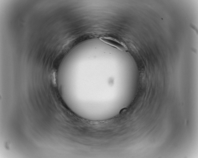 X0000096210042200802011330