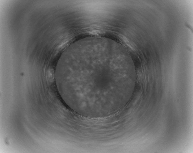 X0000096210043200802011330