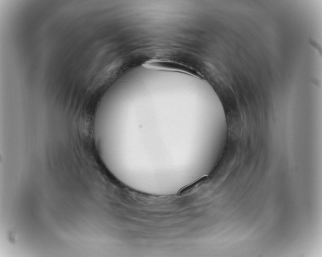 X0000096210044200802011330