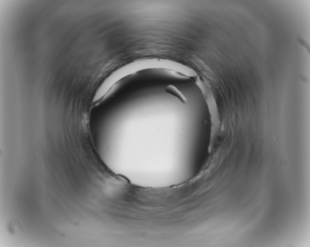 X0000096210045200802011330