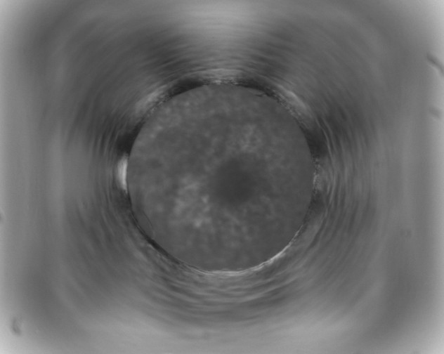 X0000096210047200802011330