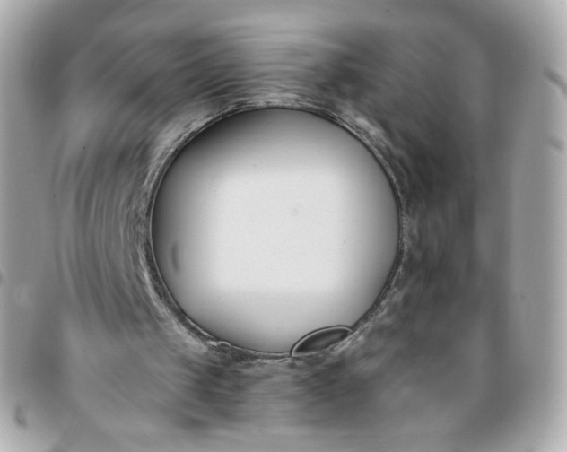 X0000096210049200802011330