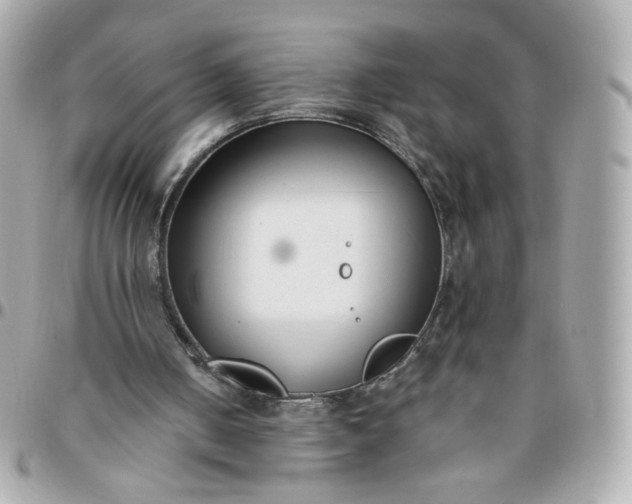 X0000096210050200802011330