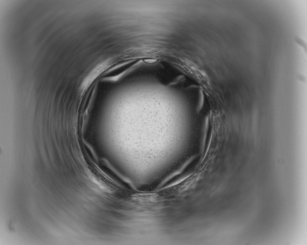 X0000096210051200802011330