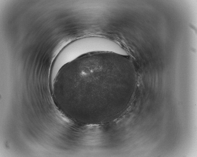 X0000096210052200802011330