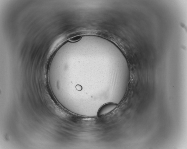 X0000096210053200802011330