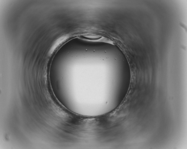 X0000096210054200802011330