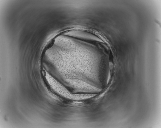 X0000096210055200802011330