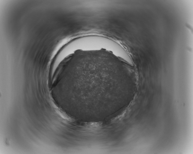 X0000096210056200802011330