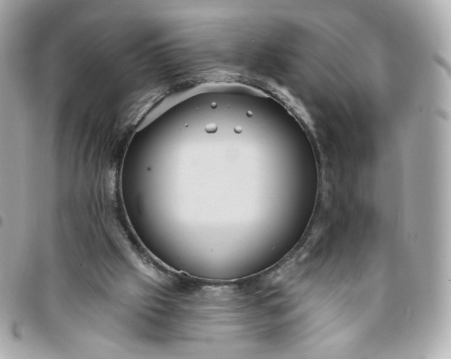 X0000096210057200802011330