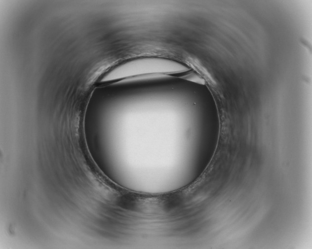 X0000096210058200802011330