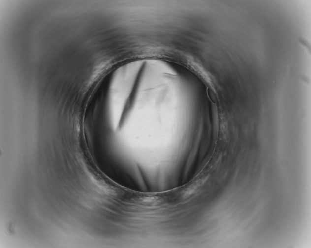 X0000096210059200802011330