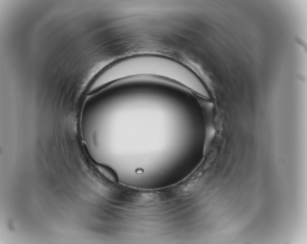 X0000096210060200802011330