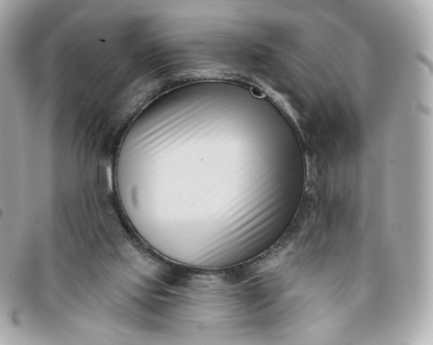 X0000096210061200802011330