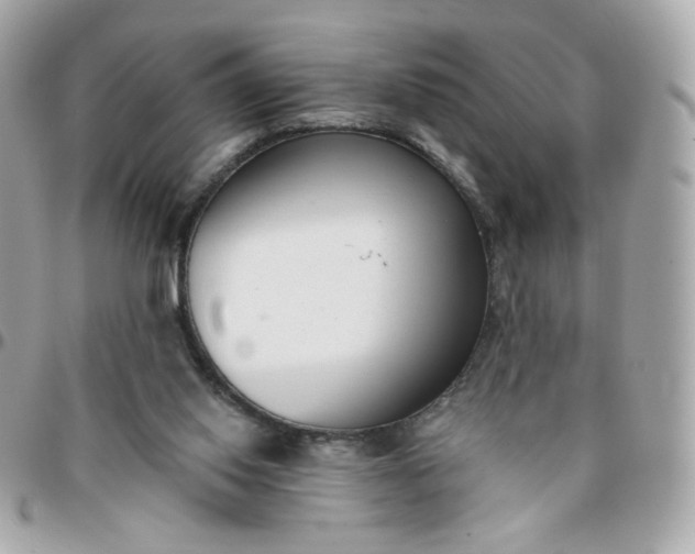 X0000096210062200802011330