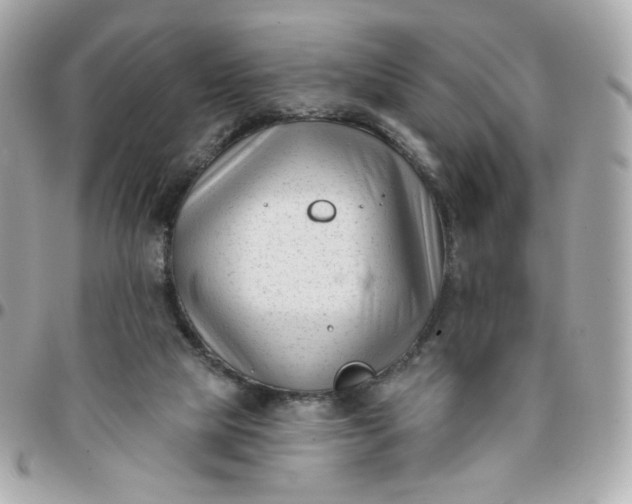 X0000096210065200802011330