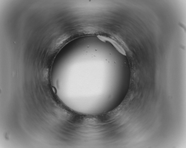 X0000096210066200802011330