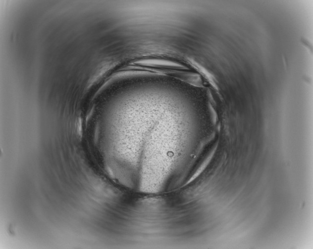 X0000096210067200802011330