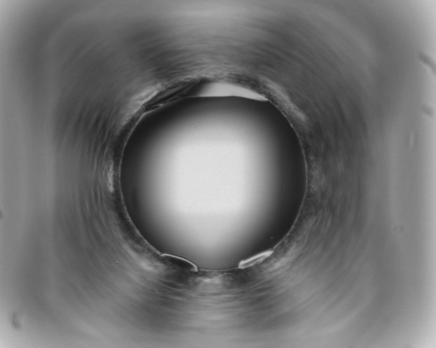 X0000096210068200802011330